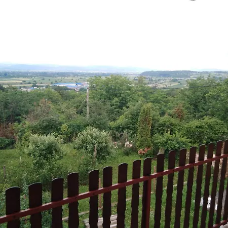 Dedinje Holiday home Jagodina