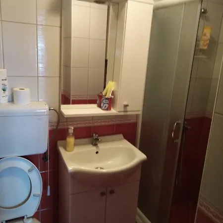 Dedinje Holiday home *