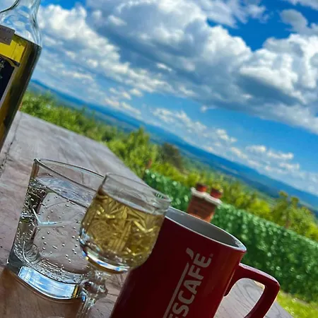 Dedinje Jagodina