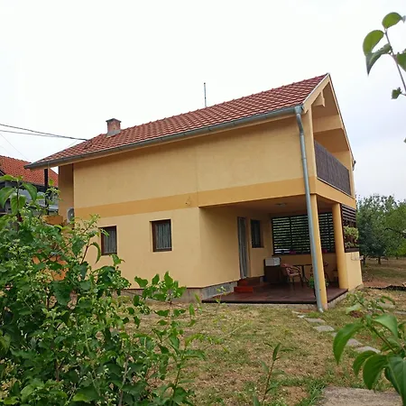 Dedinje *