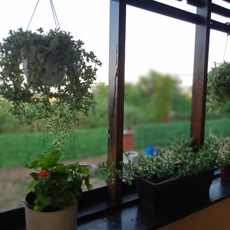 Dedinje Semesterbostad Jagodina