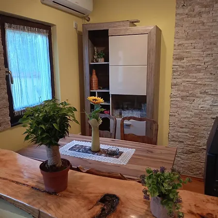 Semesterbostad Dedinje Jagodina