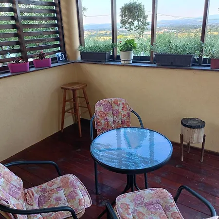 Dedinje * ג'אגודינה